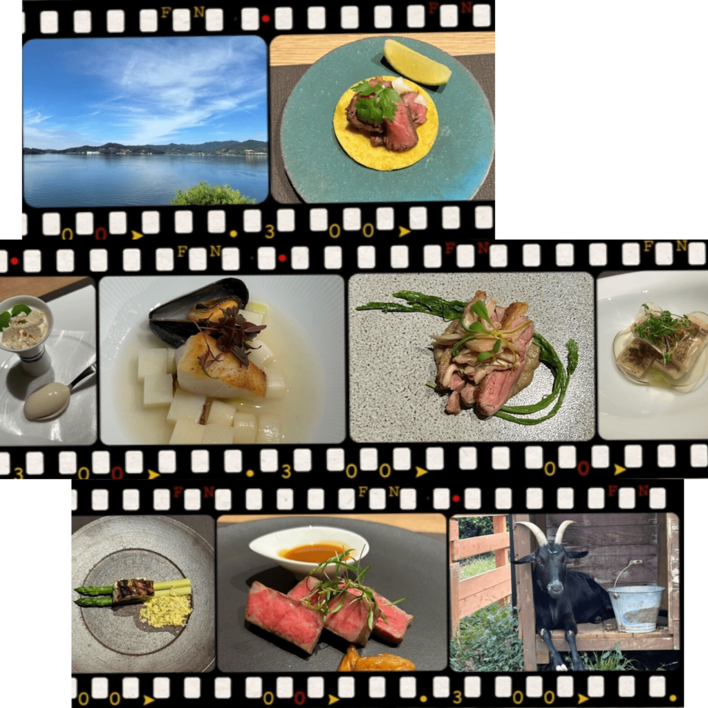 新年のご挨拶と､おすすめの福利厚生紹介♨🏰🍸